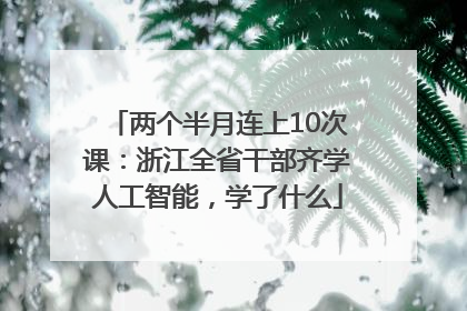 两个半月连上10次课：浙江全省干部齐学人工智能，学了什么