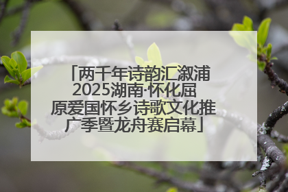 两千年诗韵汇溆浦 2025湖南·怀化屈原爱国怀乡诗歌文化推广季暨龙舟赛启幕