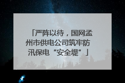 严阵以待，国网孟州市供电公司筑牢防汛保电“安全堤”
