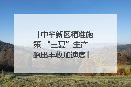 中牟新区精准施策 “三夏”生产跑出丰收加速度