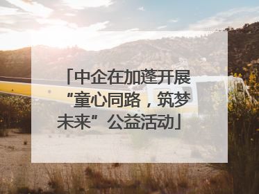 中企在加蓬开展“童心同路，筑梦未来”公益活动