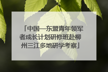中国—东盟青年领军者成长计划研修班赴柳州三江多地研学考察