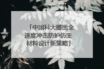 中国科大提出全速度冲击防护仿生材料设计新策略
