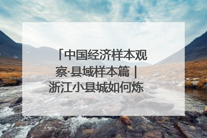 中国经济样本观察·县域样本篇｜浙江小县城如何炼成“国际范”？