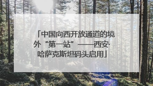 中国向西开放通道的境外“第一站”——西安·哈萨克斯坦码头启用