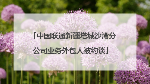 中国联通新疆塔城沙湾分公司业务外包人被约谈