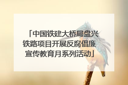 中国铁建大桥局盘兴铁路项目开展反腐倡廉宣传教育月系列活动
