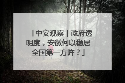 中安观察｜政府透明度，安徽何以稳居全国第一方阵？