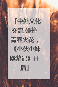 中外文化交流 碰撞青春火花，《小伙小妹换游记》开播