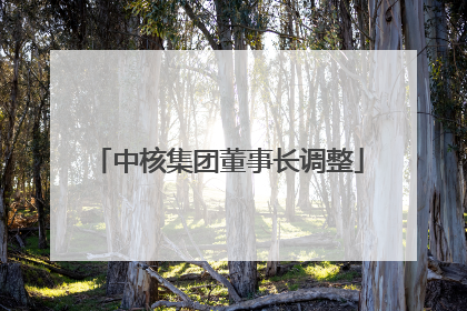 中核集团董事长调整