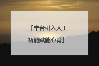 丰台引入人工智能赋能心育