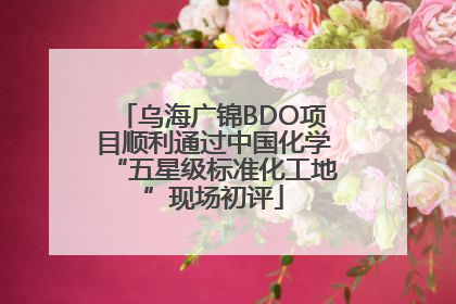 乌海广锦BDO项目顺利通过中国化学“五星级标准化工地”现场初评