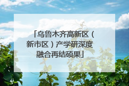 乌鲁木齐高新区（新市区）产学研深度融合再结硕果