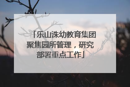 乐山洙幼教育集团聚焦园所管理，研究部署重点工作