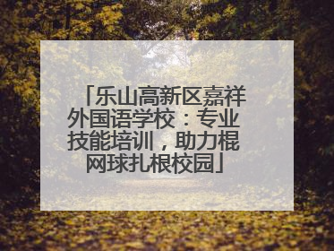 乐山高新区嘉祥外国语学校：专业技能培训，助力棍网球扎根校园