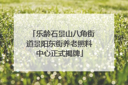 乐龄石景山八角街道景阳东街养老照料中心正式揭牌