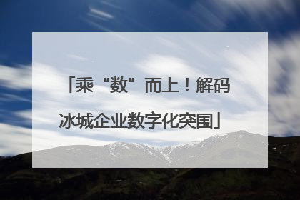 乘“数”而上！解码冰城企业数字化突围