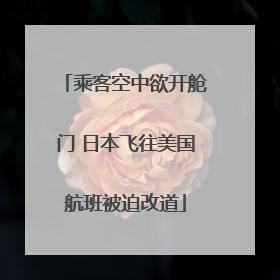 乘客空中欲开舱门 日本飞往美国航班被迫改道
