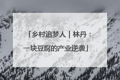 乡村追梦人｜林丹：一块豆腐的产业逆袭