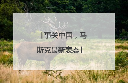 事关中国，马斯克最新表态