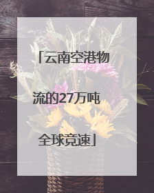 云南空港物流的27万吨全球竞速