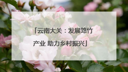 云南大关：发展筇竹产业 助力乡村振兴
