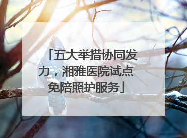 五大举措协同发力，湘雅医院试点免陪照护服务