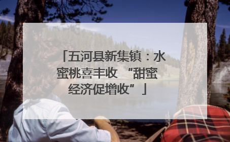 五河县新集镇：水蜜桃喜丰收 “甜蜜经济促增收”