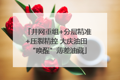 井网重组+分层精准+压裂精控 大庆油田“唤醒”薄差油藏