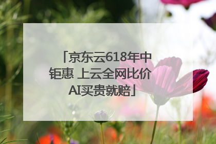 京东云618年中钜惠 上云全网比价 AI买贵就赔