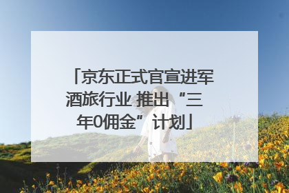 京东正式官宣进军酒旅行业 推出“三年0佣金”计划