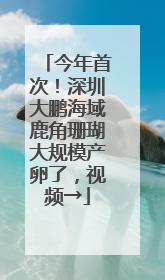 今年首次！深圳大鹏海域鹿角珊瑚大规模产卵了，视频→
