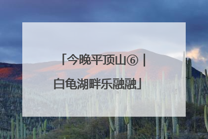 今晚平顶山⑥｜白龟湖畔乐融融