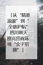 从“精准滴灌”到“全链护航” 四川朝天擦亮营商环境“金字招牌”