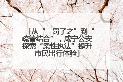 从“一罚了之”到“疏管结合”，咸宁公安探索“柔性执法”提升市民出行体验
