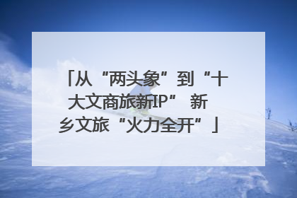 从“两头象”到“十大文商旅新IP” 新乡文旅“火力全开”