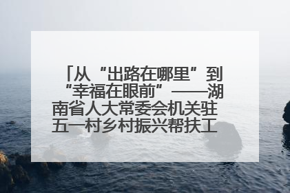 从“出路在哪里”到“幸福在眼前”——湖南省人大常委会机关驻五一村乡村振兴帮扶工作队书写振兴答卷