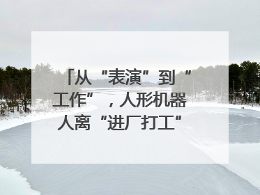 从“表演”到“工作”，人形机器人离“进厂打工”还有多久？｜机器人商业新纪元