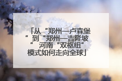 从“郑州—卢森堡”到“郑州—吉隆坡” 河南“双枢纽”模式如何走向全球