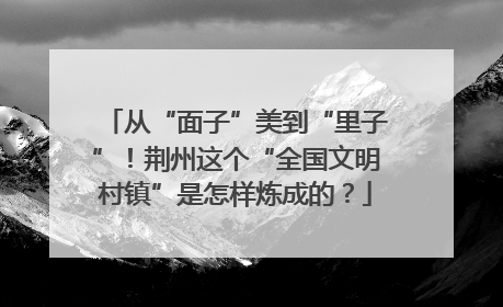 从“面子”美到“里子”！荆州这个“全国文明村镇”是怎样炼成的？
