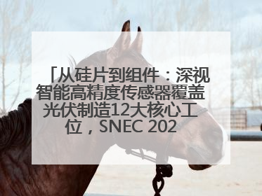 从硅片到组件：深视智能高精度传感器覆盖光伏制造12大核心工位，SNEC 2025诚邀见证