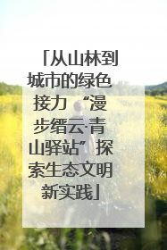 从山林到城市的绿色接力 “漫步缙云·青山驿站”探索生态文明新实践