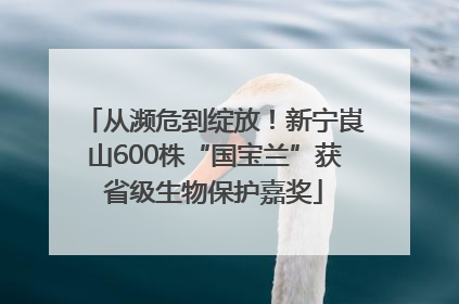 从濒危到绽放！新宁崀山600株“国宝兰”获省级生物保护嘉奖