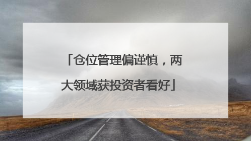 仓位管理偏谨慎，两大领域获投资者看好