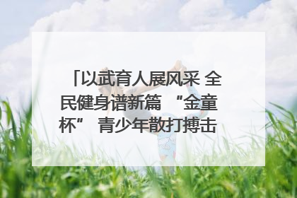以武育人展风采 全民健身谱新篇 “金童杯” 青少年散打搏击邀请赛圆满落幕