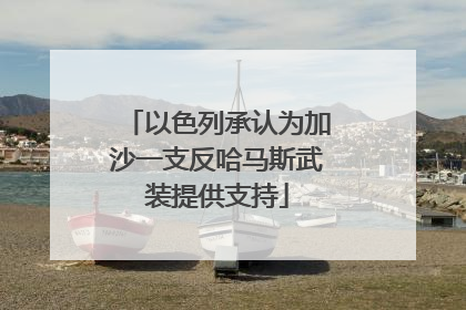 以色列承认为加沙一支反哈马斯武装提供支持