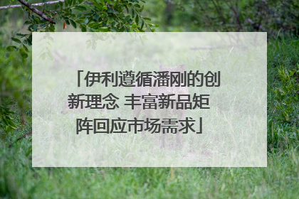 伊利遵循潘刚的创新理念 丰富新品矩阵回应市场需求