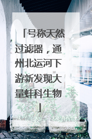 号称天然过滤器，通州北运河下游新发现大量蚌科生物