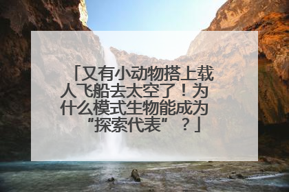 又有小动物搭上载人飞船去太空了！为什么模式生物能成为“探索代表”？