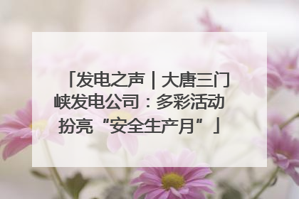 发电之声｜大唐三门峡发电公司：多彩活动扮亮“安全生产月”